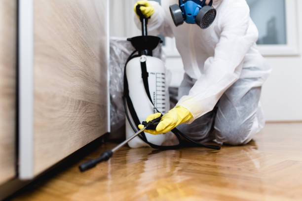 Best Flea Control Services  in Statesboro, GA