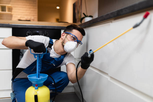 Best Wasp Removal Services  in Statesboro, GA