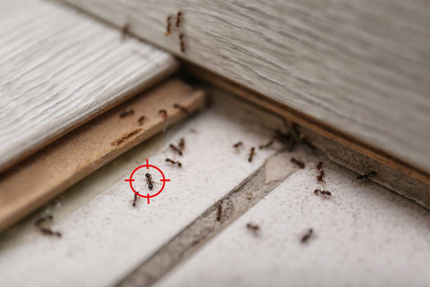 Best Commercial Pest Control Services  in Statesboro, GA