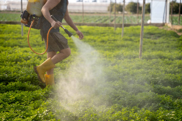 Reliable Statesboro, GA Pest Control Solutions