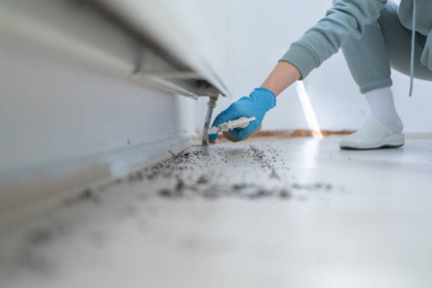 Best Rat Extermination Near Me  in Statesboro, GA
