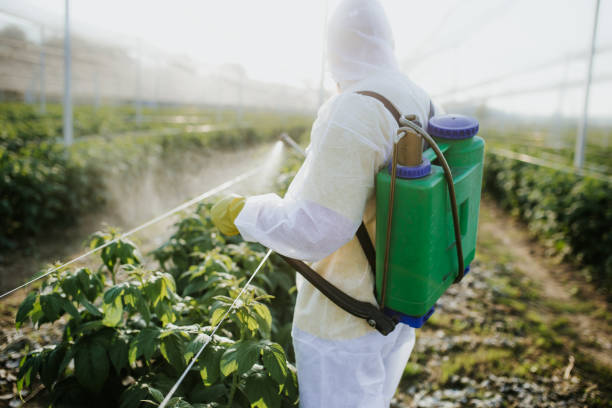 Best Best Pest Control Near Me  in Statesboro, GA